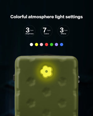 OIWAS-Smart-Flower-CarryOn-Light